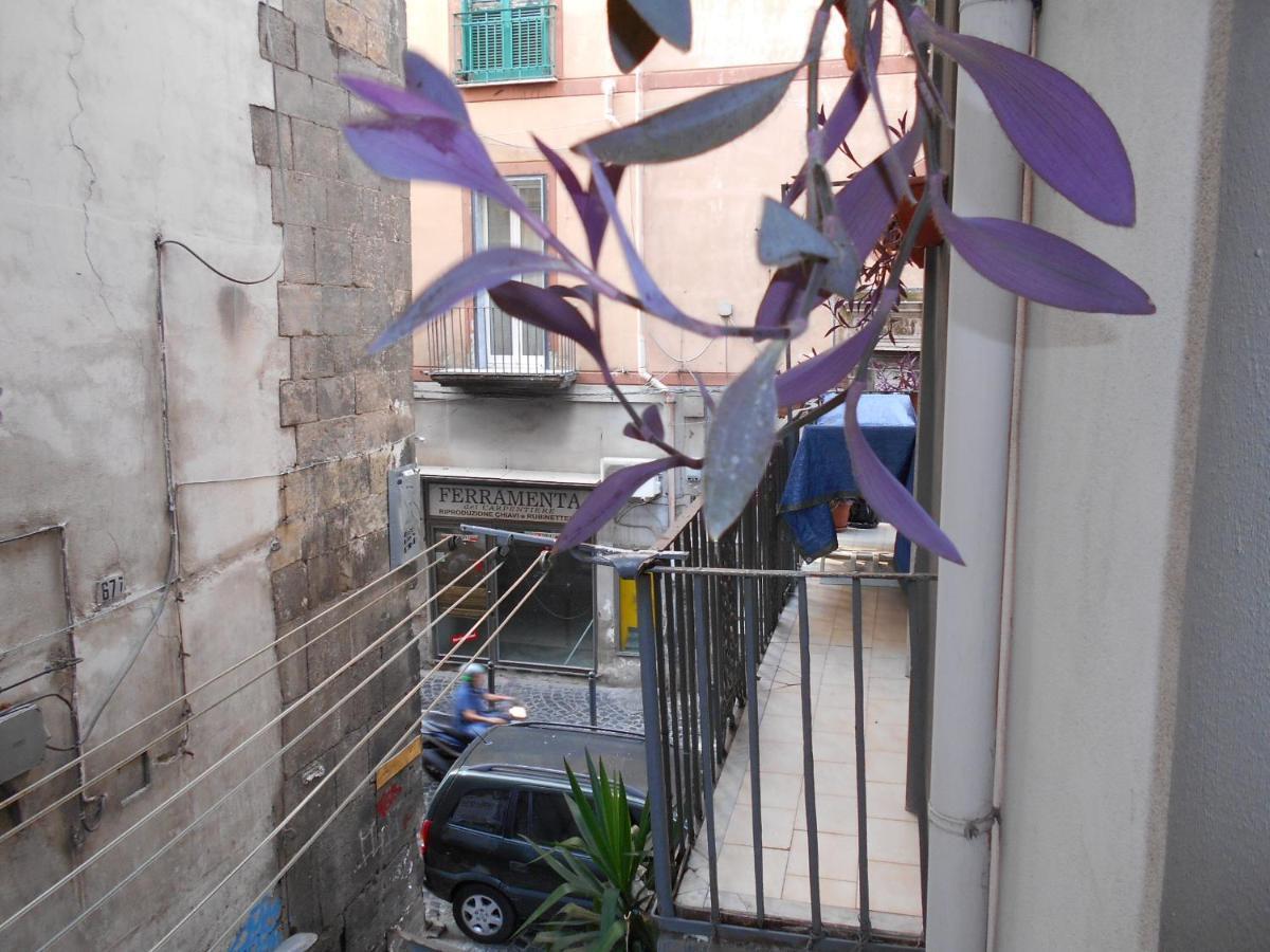 Robby'S House Bed & Breakfast Vico Equense Exterior foto